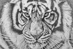 Tijger pointalisme inkt 30 x 40 cm    opdracht